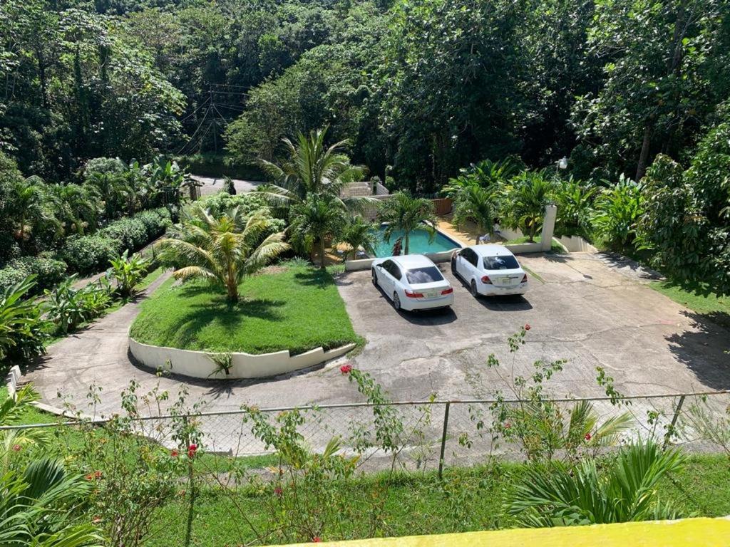 Tha Lagoon Spot Port Antonio Eksteriør billede
