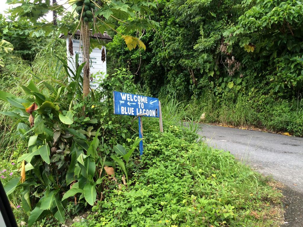 Tha Lagoon Spot Port Antonio Eksteriør billede
